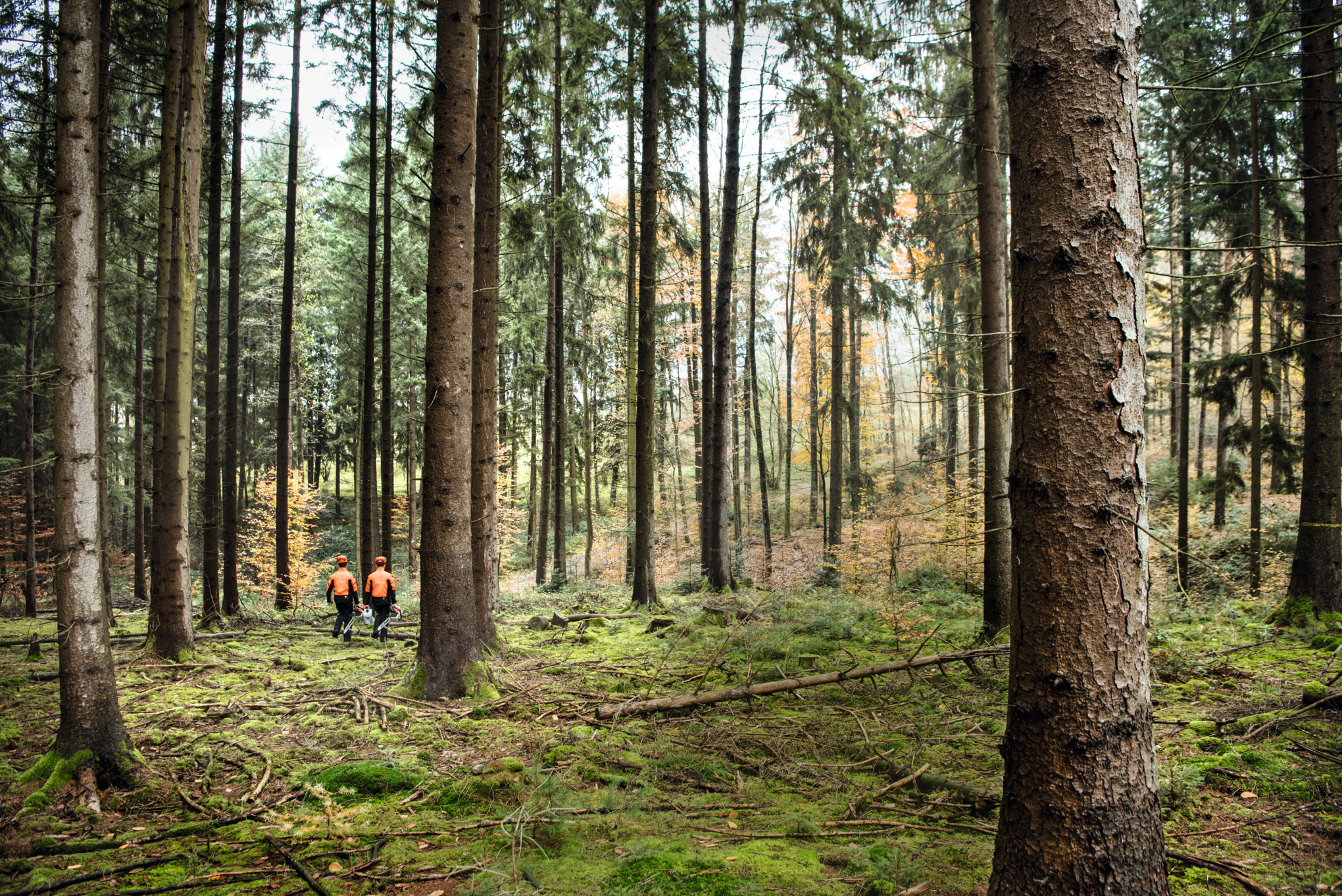 STIHL als Unternehmen